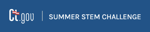 Summer STEM Challenge Summer STEM Challenge